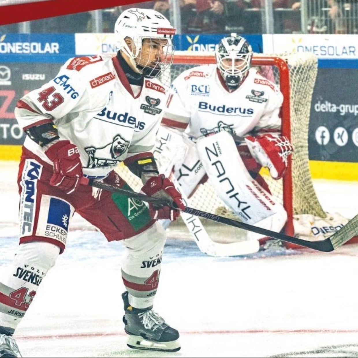 © Daniel Frank, Eisbären Regensburg